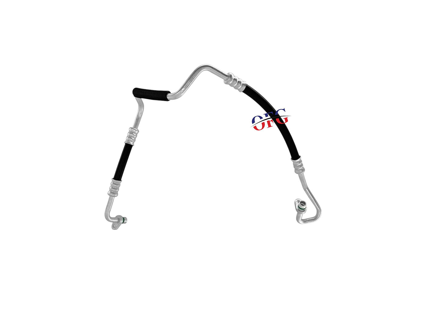 Renault Fluence Hortum