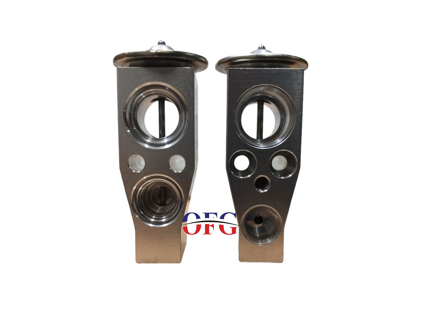 Vw Passat B8 - Golf 8 Expansion Valf