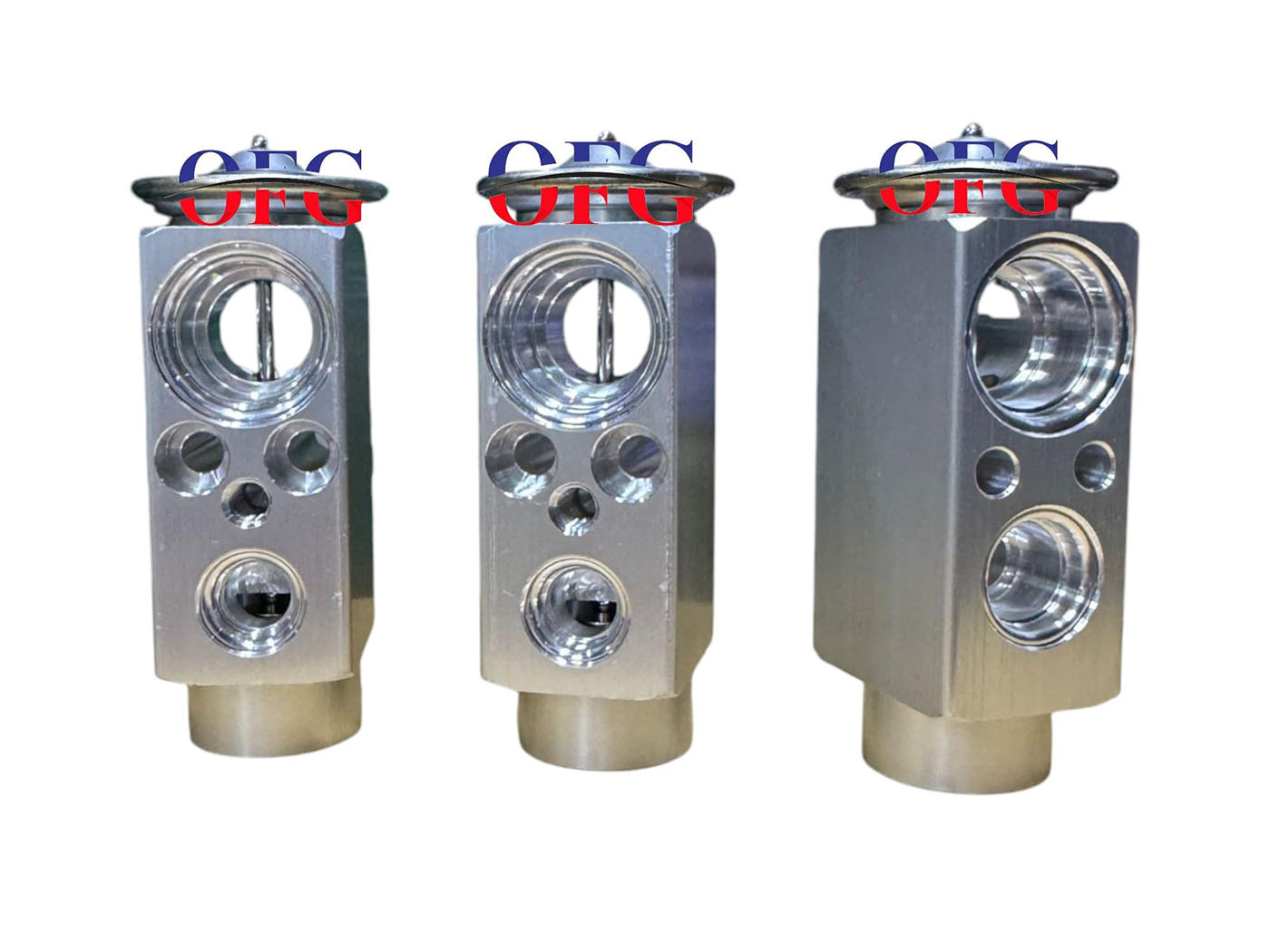 Man Tır - Renault Laguna1 Expansion Valf