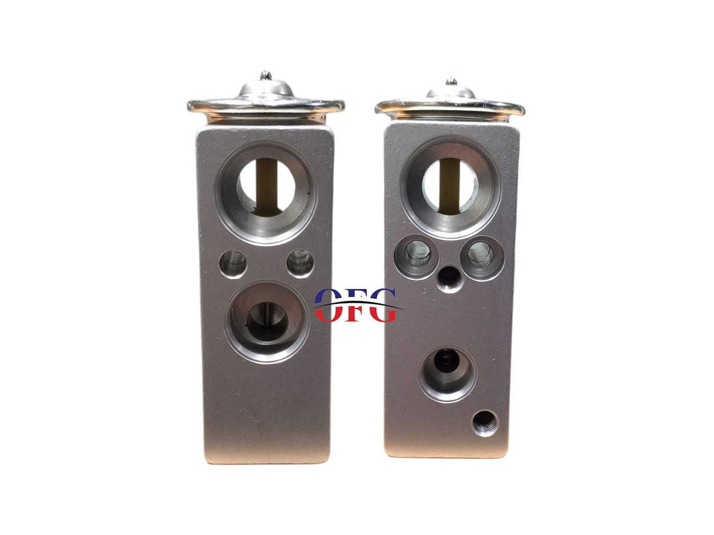 Fiat Doblo - Albea Orjinal Delphi Espansion Valf