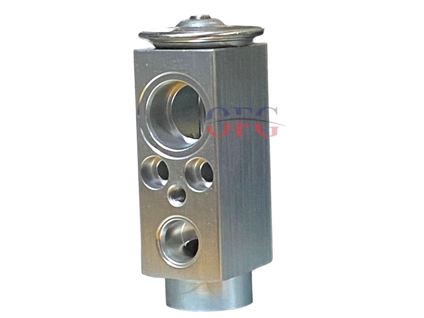 Mercedes W211 - W204 - Vito  Expansion Valf