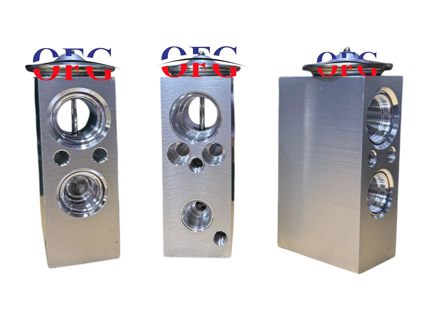 Renault Fluence Expansion Valf