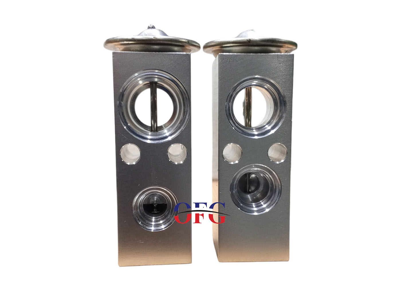 Scania Expansion Valf