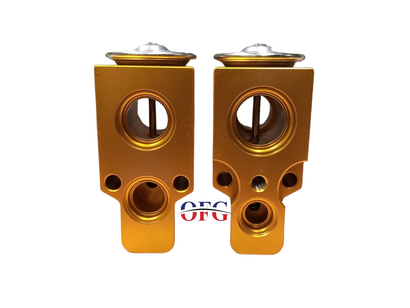 Vw Golf IV - Bora Expansion Valf